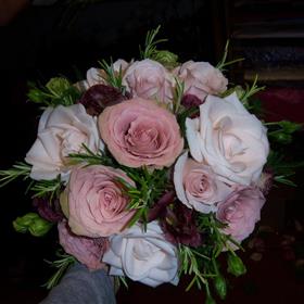 fwthumb001 (18).jpg